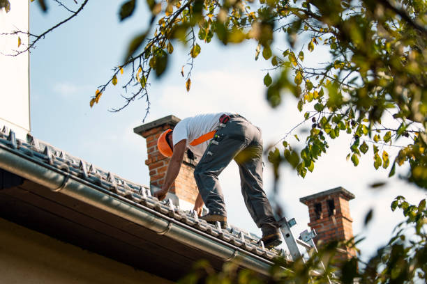 Best New Roof Installation  in Basin, WY