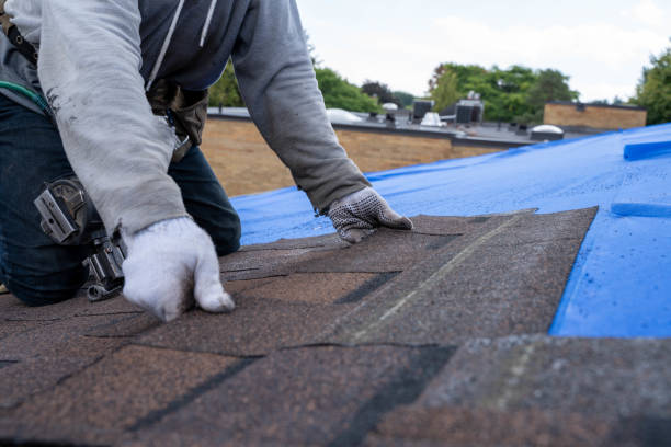 Best Flat Roof Repair Services  in Basin, WY
