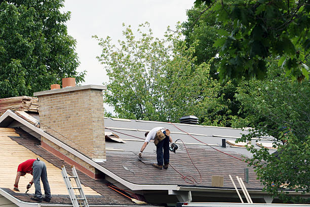 Best Roof Gutter Cleaning  in Basin, WY